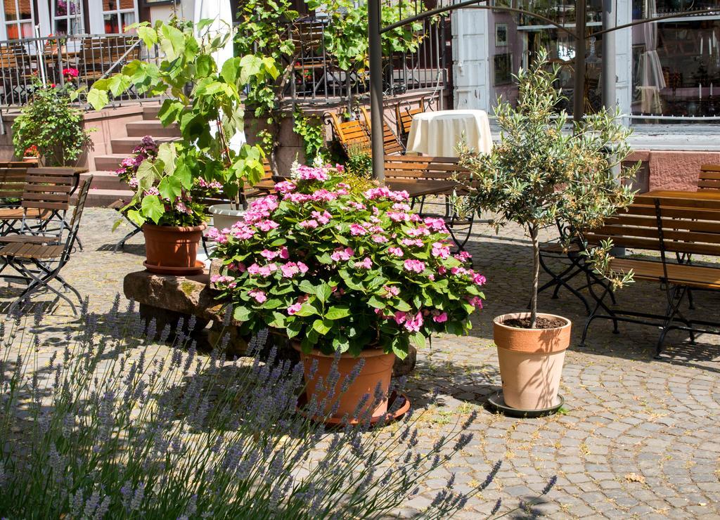 Hotel Weber Amöneburg 외부 사진